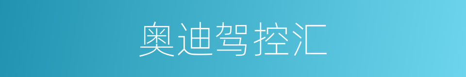 奥迪驾控汇的同义词