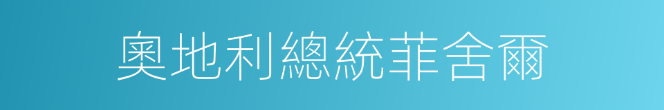 奧地利總統菲舍爾的同義詞