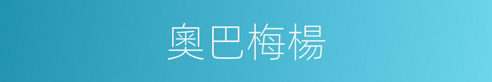 奧巴梅楊的同義詞