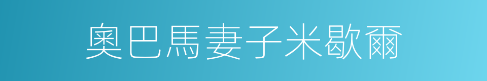 奧巴馬妻子米歇爾的同義詞