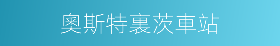 奧斯特裏茨車站的同義詞