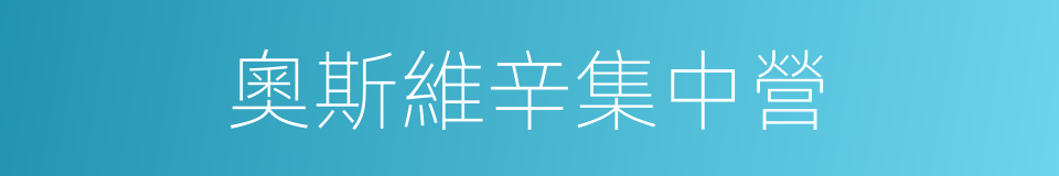 奧斯維辛集中營的同義詞