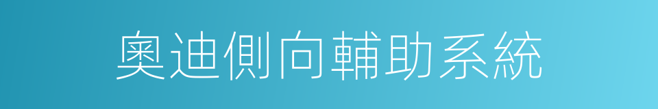 奧迪側向輔助系統的同義詞