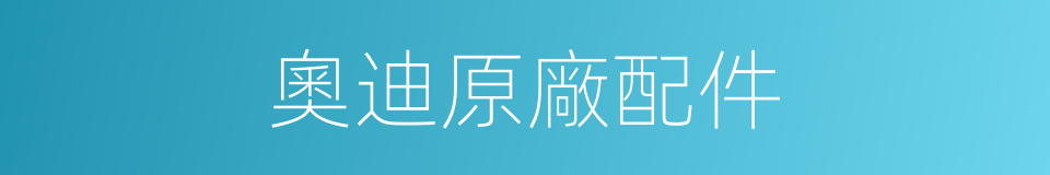 奧迪原廠配件的同義詞