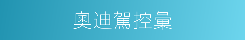 奧迪駕控彙的同義詞