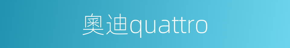 奧迪quattro的同義詞