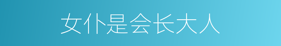 女仆是会长大人的同义词