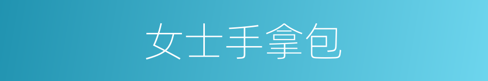 女士手拿包的同义词