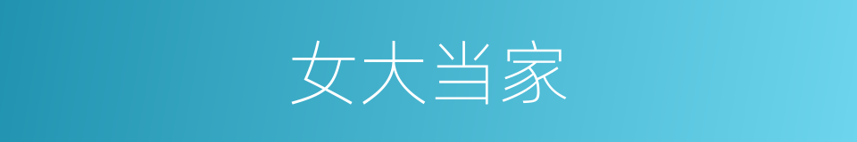 女大当家的同义词
