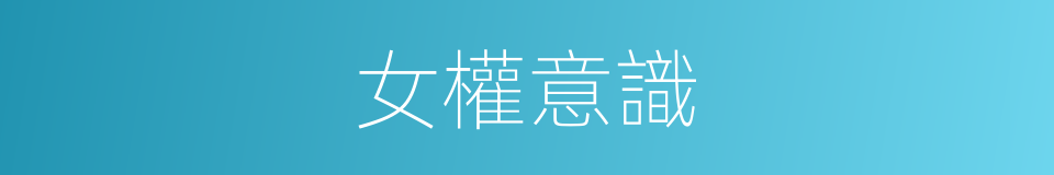 女權意識的同義詞