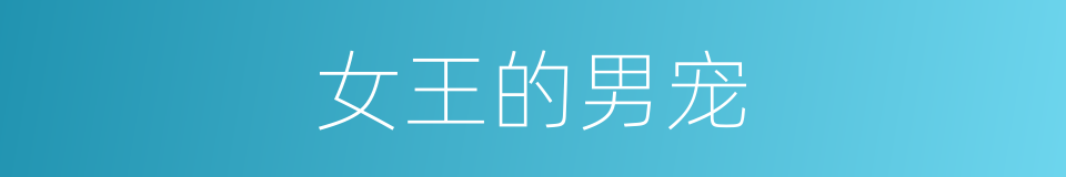 女王的男宠的同义词