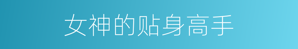 女神的贴身高手的同义词