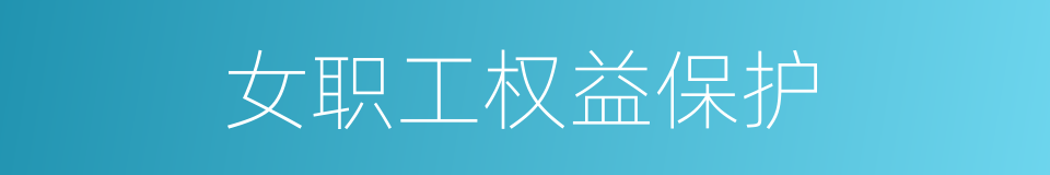 女职工权益保护的同义词