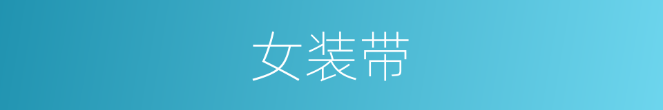 女装带的同义词