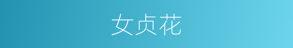 女贞花的同义词