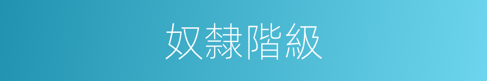 奴隸階級的意思
