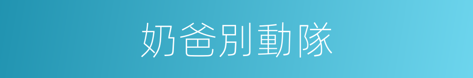 奶爸別動隊的同義詞