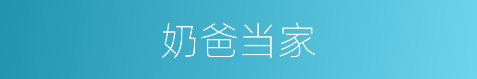 奶爸当家的同义词