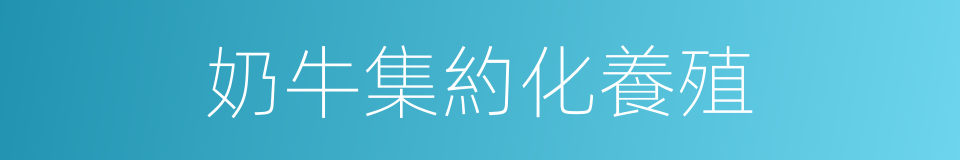 奶牛集約化養殖的同義詞