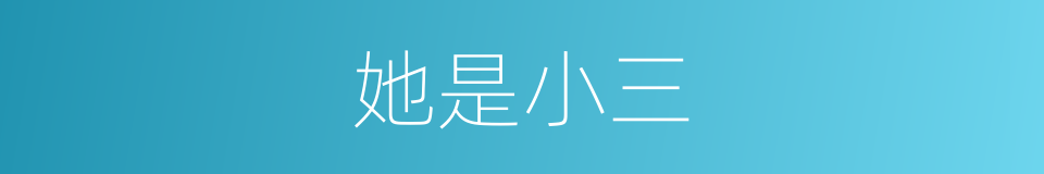 她是小三的同义词