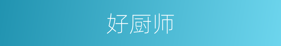 好厨师的同义词