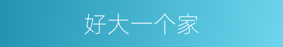 好大一个家的同义词