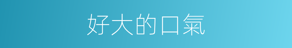 好大的口氣的同義詞