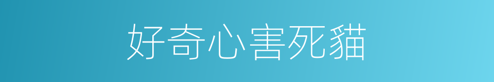 好奇心害死貓的意思