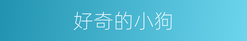 好奇的小狗的同义词