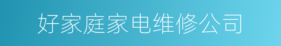 好家庭家电维修公司的同义词
