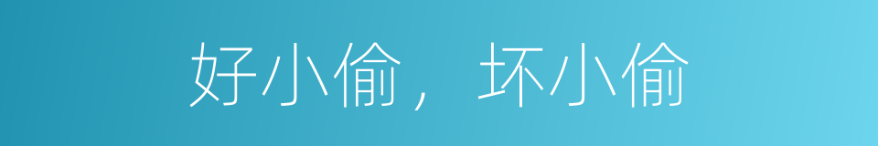 好小偷，坏小偷的同义词
