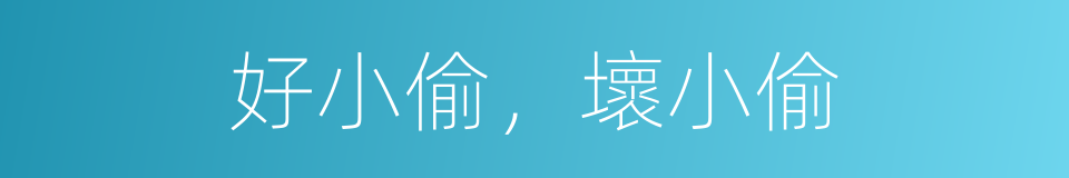 好小偷，壞小偷的同義詞