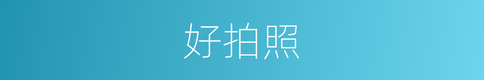 好拍照的同义词