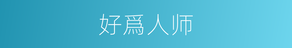好爲人师的意思