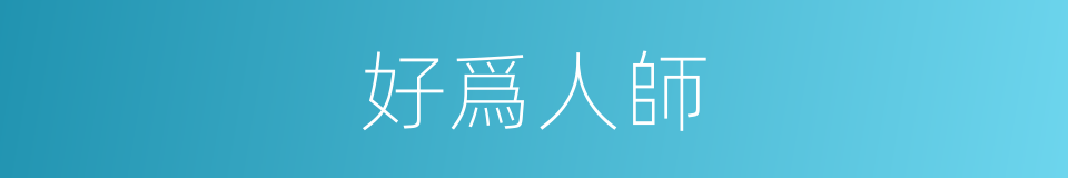 好爲人師的意思