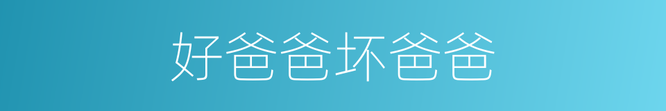 好爸爸坏爸爸的同义词