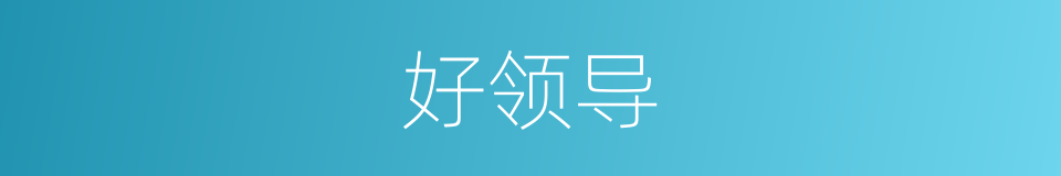 好领导的同义词