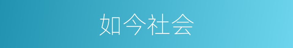 如今社会的同义词