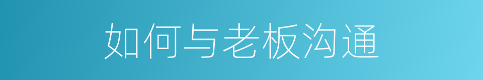 如何与老板沟通的同义词