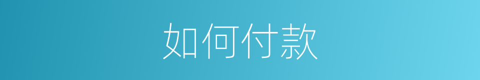 如何付款的同义词