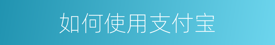 如何使用支付宝的同义词