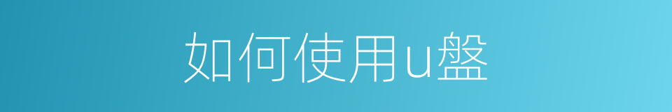 如何使用u盤的同義詞