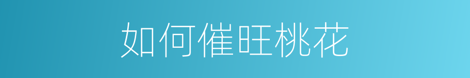 如何催旺桃花的同义词