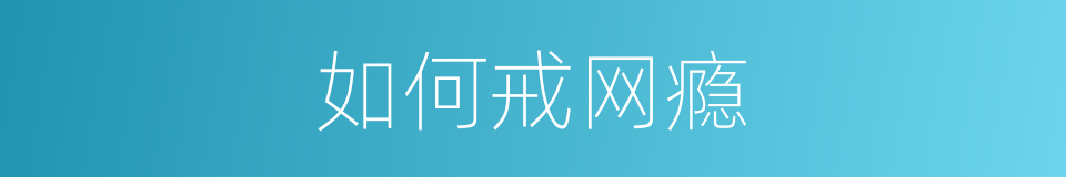 如何戒网瘾的同义词