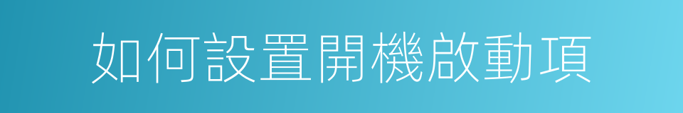 如何設置開機啟動項的同義詞