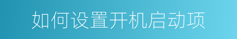 如何设置开机启动项的同义词
