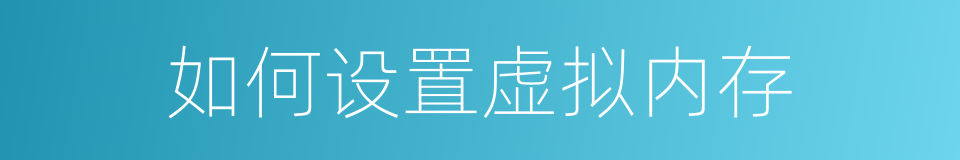如何设置虚拟内存的同义词