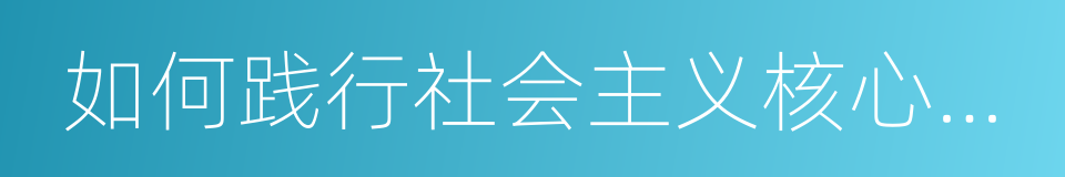 如何践行社会主义核心价值观的同义词