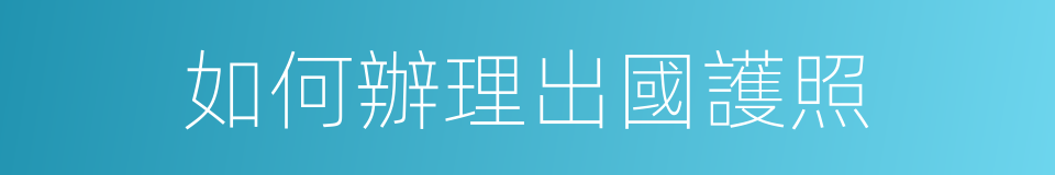 如何辦理出國護照的同義詞