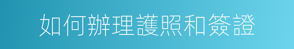 如何辦理護照和簽證的同義詞